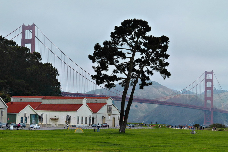 suspension Bridge, 720P, landscape, plant, built Structure, sky, cable, architecture And Buildings, san francisco, group of people, San Francisco, uSA