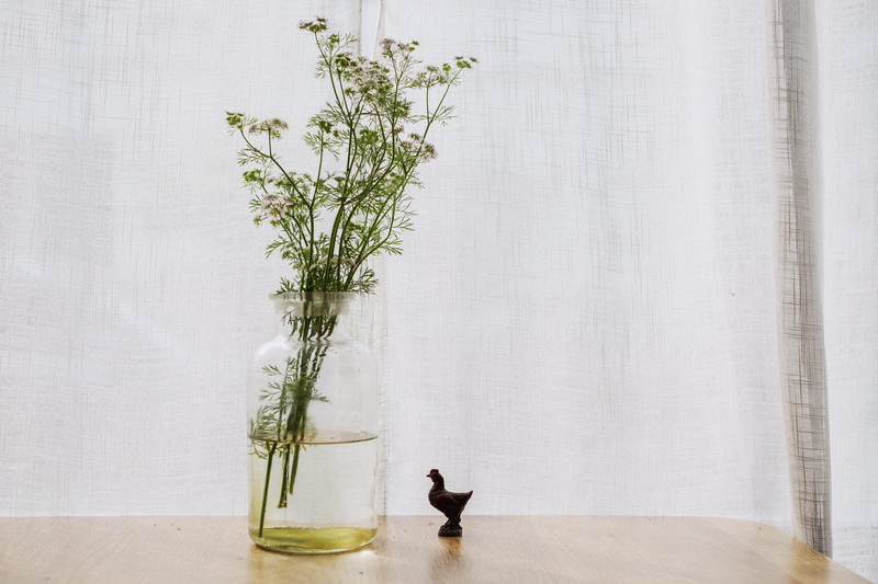 image Technique, nature, wooden, color Image, indoors, decor, plant, men, 4K, green plant, wall - building feature, standing, vase, one person, flowering plant