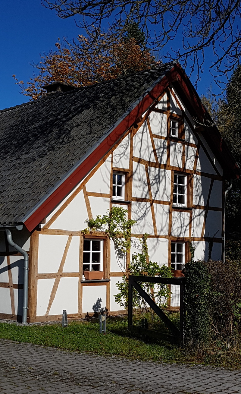 germany, eifelhaus, growth, outdoors, architecture, day, grass, no people, monument, street view, old, roof, lattice windows, built structure, plant, home