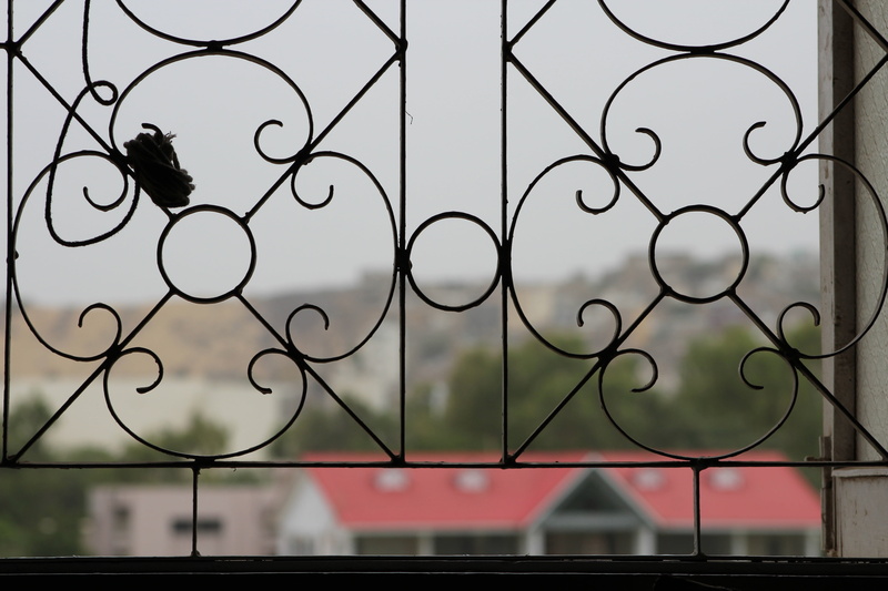 centre, close-up, boundary, view, lattice, roofs, architecture, protection, wrought iron, window, safety, outdoors, fence, 5K, nature, security, grill