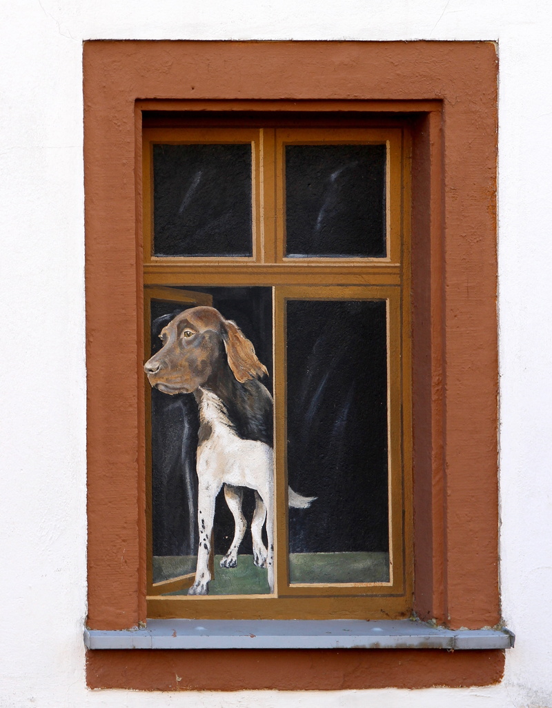 4K, humor, built structure, day, building exterior, architecture, facade, lattice windows, glass - material, no people, one animal, spoof, window frame