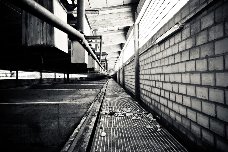 railing, surface level, urban, day, decay, light, alley, long, photography, the way forward, destroyed, connection, no people, old building, bridge, train