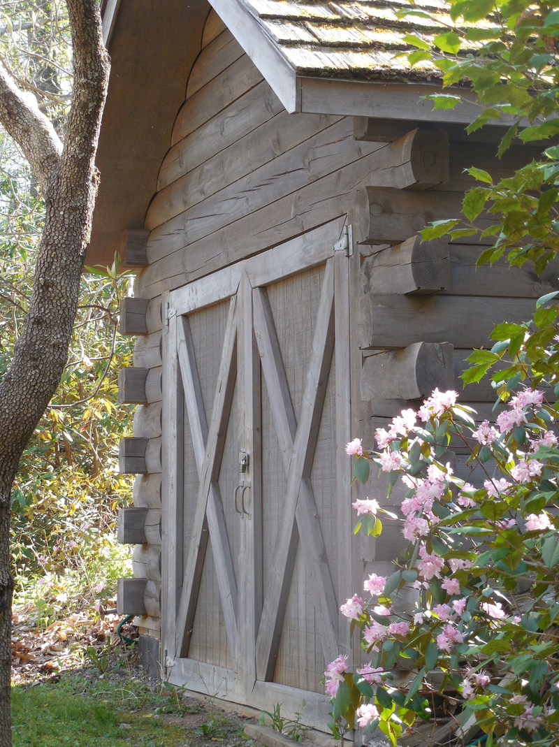 outdoors, architecture, exterior, nature, sunlight, rural, Wood, building exterior, house, wooden, low angle view, texture, vintage, no people, wood - material