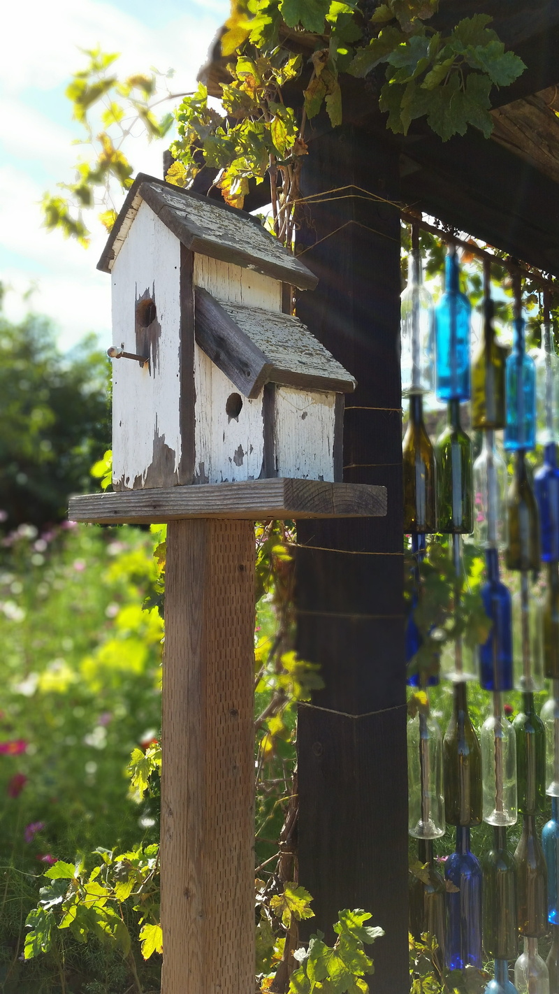 spring, green, decoration, animal, retro, habitat, architecture, rural, fence, day, shelter, old, close-up, 5K, aged, colorful, building, building exterior