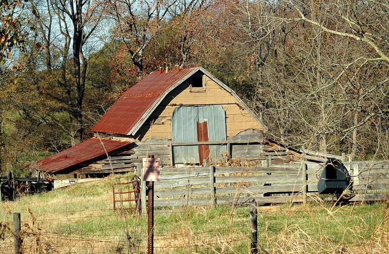 boundary, building exterior, red, barn shed, grass, fence, farmland, weathered, barrier, 2K, rural, shack, architecture, ranch, bare tree, storage, abandoned