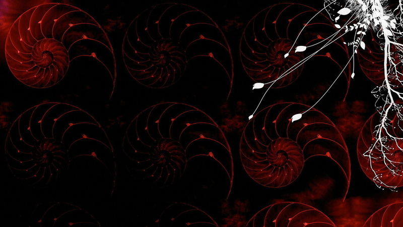 red, dynamic, futuristic, computer, black background, abstraction, effect, 1080P, shiny, space, transparent, backdrop, no people, close-up, lines, colorful