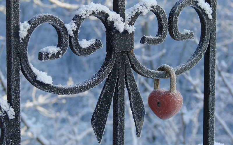 blue, fruit, nature, security, freshness, no People, iron - Metal, metal, frost, winter, snow, close-up, 720P, gate, outdoors, hanging, shaped, pattern