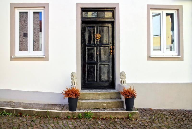 flower, window, house entrance, plants, potted, input range, front door, house, placed, near, architecture, two, orange, nature, antique, residential district