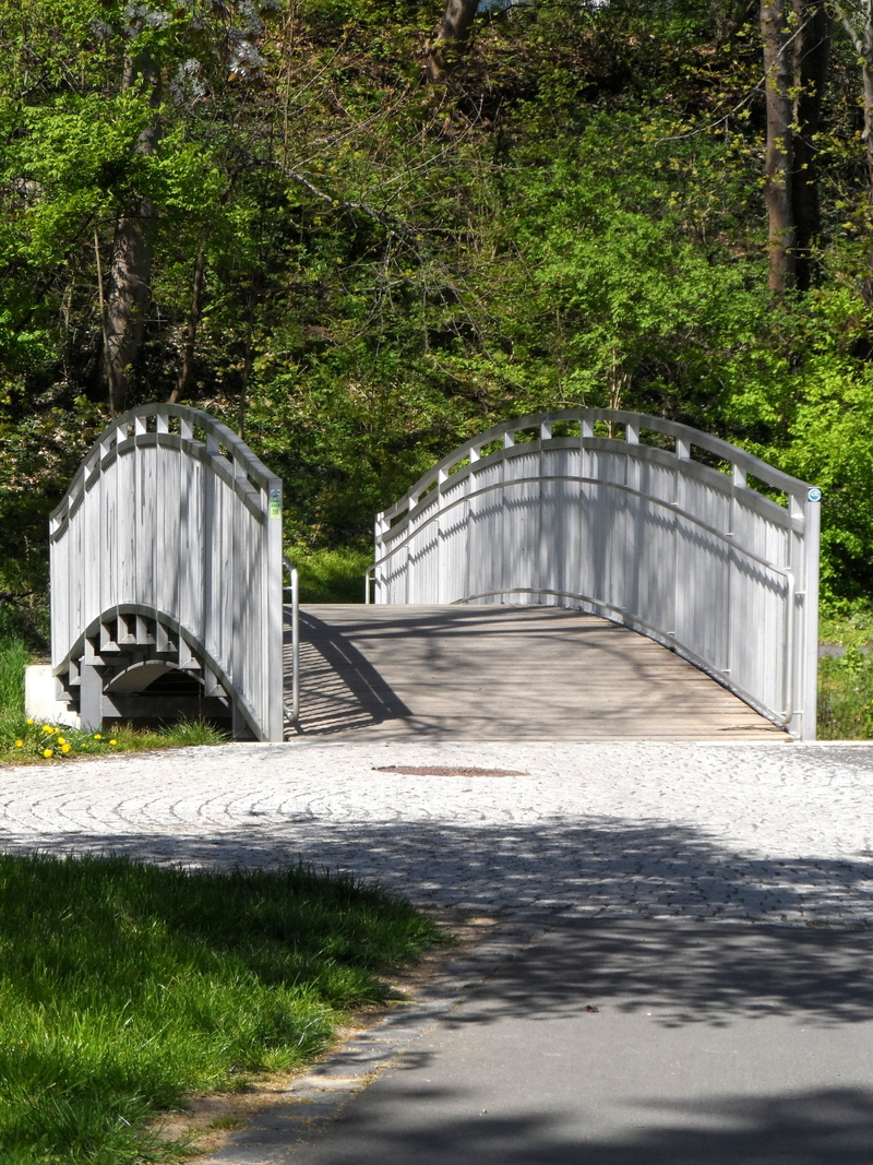 plant, cool, mysterious, bank, spring, the way forward, cozy, road, architecture, refreshment, railing, sunshine, idyll, nature, bach, grass, outdoors