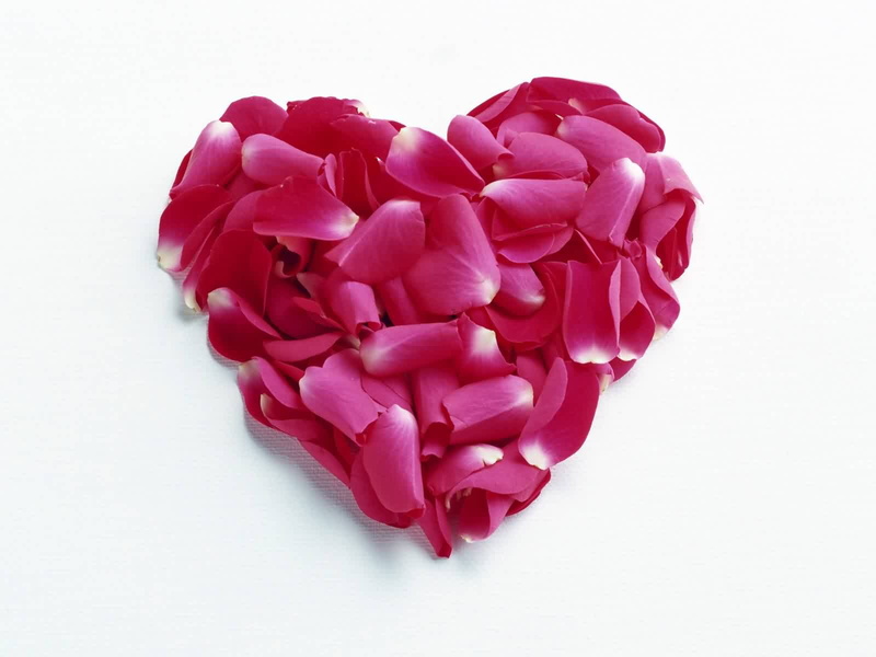 shaped, love, 720P, leaves, heart, rose, hd