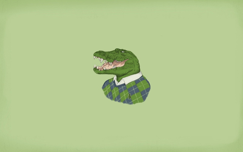colored background, 1080P, copy space, Minimalism, animal wildlife, reptile, vertebrate, close-up, animals in the wild, water, animal, Lacoste, green background