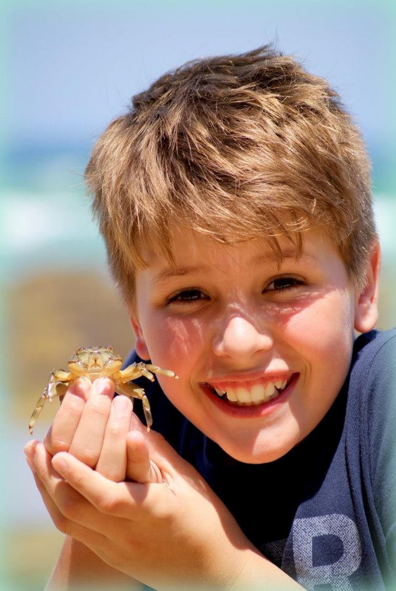 holding, summer fun, close-up, vacation, emotion, people, real people, ocean, crab, summer, males, family fun, coast, playing, family on beach, childhood