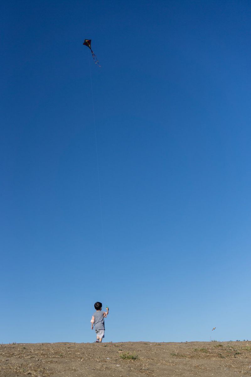 child, copy space, land, summertime, environment, blue, human arm, full length, play, sky, kite, clear sky, men, low angle view, nature, real people, boy