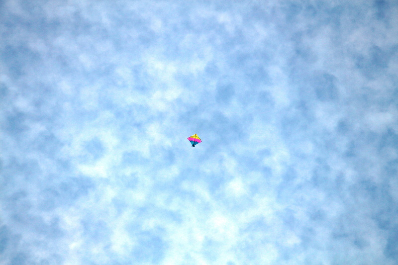 flying, transportation, sky, 5K, cloud - sky, india, mid-air, kite, sport, unrecognizable person, white, nature, freedom, extreme sports, air, dom, balloon