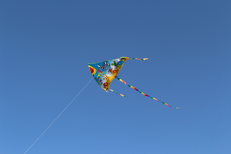 nature, clear sky, flying, sunny, art and craft, kite, kite - toy, dragon, sky, cant, string, no people, mid-air, environment, 5K, multi colored, blue