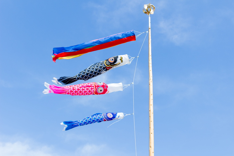 blue sky, flying, variation, fish, low angle view, vertebrate, blue, sky, airshow, outdoors, hanging, Carp, japan, flag, nature, no people, Festival, multi colored
