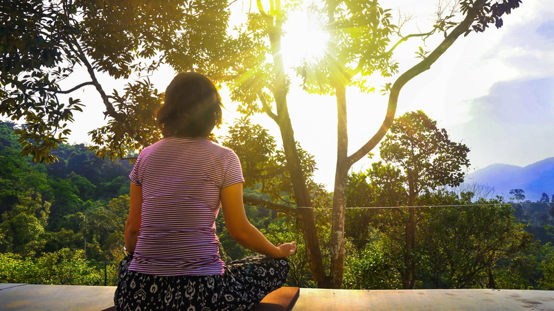 adult, standing, plant, only women, sitting, meditating, zen, lens flare, rear view, day, hairstyle, tree, relax, sunlight, striped, nature, real people