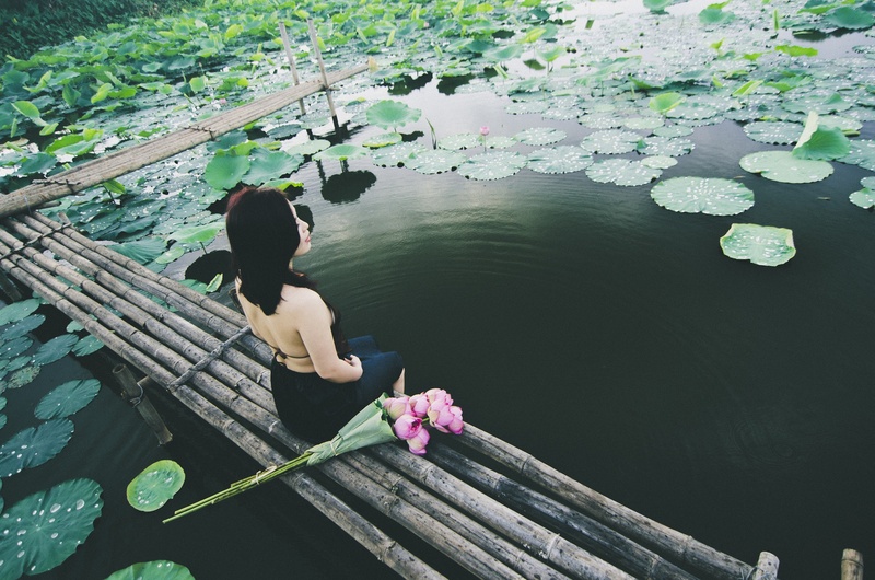 wood - material, meditating, plant, outdoors, body, reflection, rear view, plant part, floating on water, real people, nature, day, top, leaf, animal, beautiful