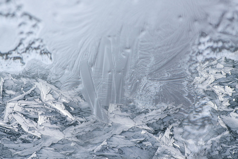 selective focus, white color, hardest, cold temperature, pattern, winter, close-up, softness, feather, eiskristalle, ice, window, macro, extreme close-up