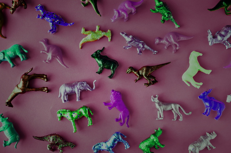 studio shot, purple, diverse, high angle view, directly above, choice, extinct, animal representation, ancient, effect, colored background, green color