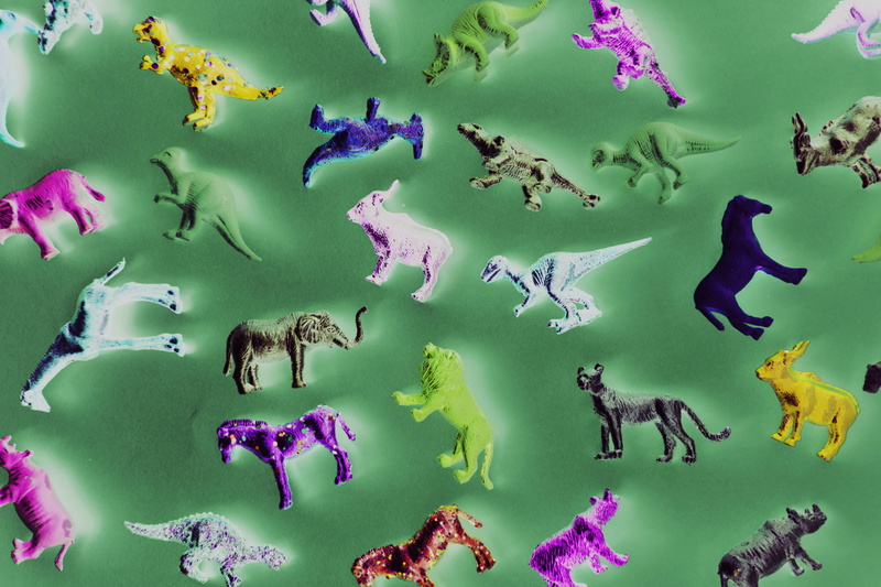 lot, close-up, indoors, prehistoric, vertebrate, 4K, directly above, animals, green color, sea life, objects, figurine, plastic, school of fish, green background
