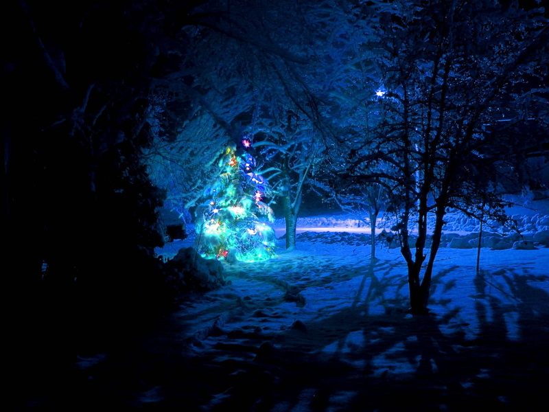 nature, 720P, holiday, string, season, cold temperature, magic, landscape, land, fur-tree, dark, star - Space, celebration, tree, lights, multicolored