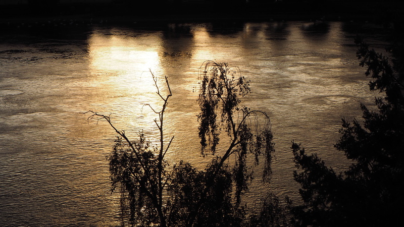 summer, lake, reflection, rhine, water, beauty in nature, day, tranquil scene, silhouette, river, sunset, plant, waterfront, nature, no people, rippled