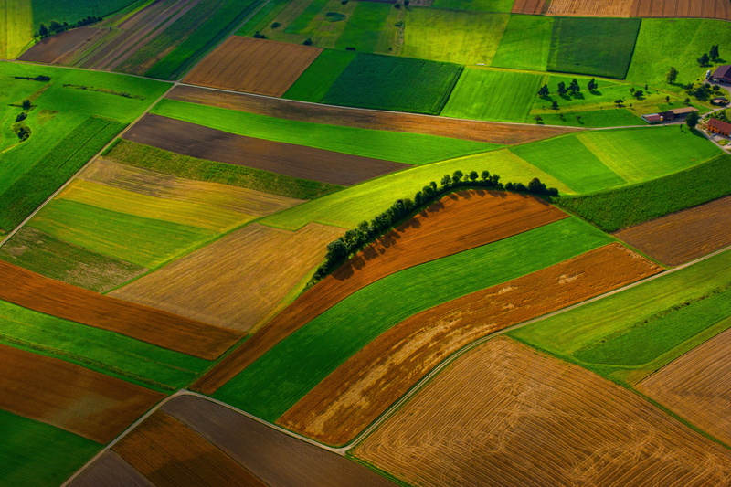 agriculture, aerial, grass, nature, green color, tranquility, plantation, view, tree, 5K, plant, day, outdoor, rural Scene, land, farm, crop, landscape
