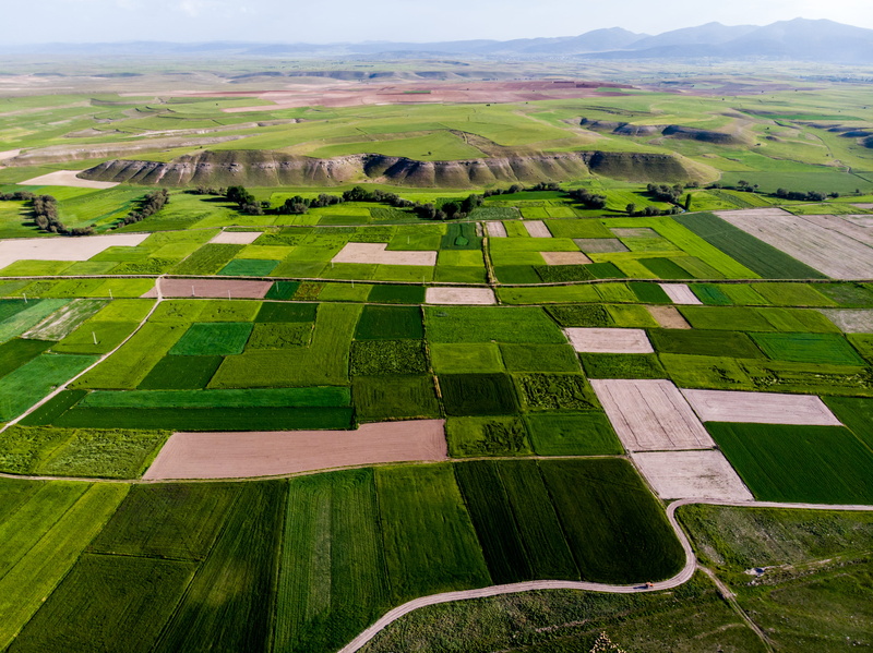 scenics - nature, outdoors, above, landscape, tranquility, beauty in nature, land, trees, green, drone, aerial view, shadow, path, plantation, mountains
