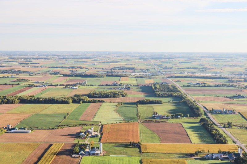 idyllic, field, farming, 5K, farm, farmland, high, sky, tranquil scene, grass, plant, tranquility, aerial view, growth, horizon, rural scene, day, rural