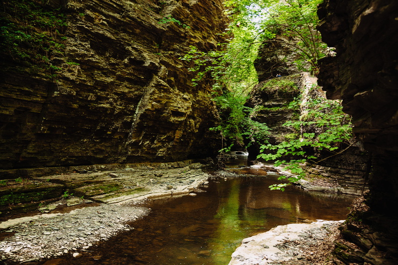 spring, nature, land, rainforest, tree, 2K, rock formation, non-urban scene, rock - object, gorge, watkins glen, tranquil scene, no people, growth, stream