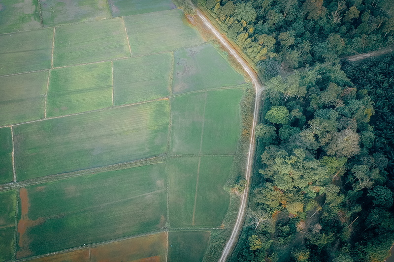scenics - nature, birds eye view, grassland, patchwork landscape, agriculture, growth, rural scene, country, nature, grass, tranquil scene, day, soil, aerial