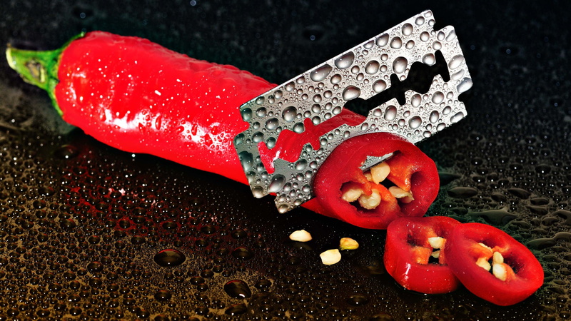 4K, wellbeing, freshness, christmas stocking, no people, snake, water, table, black background, echinoderm, close-up, food, stocking, high angle view
