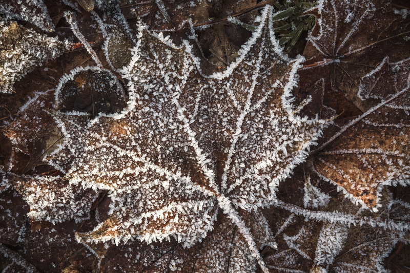 pattern, land, holiday, graphic, digital, colorful, frost, shape, 5K, full frame, decorative, art, modern, close-up, natural pattern, black, bright, snow
