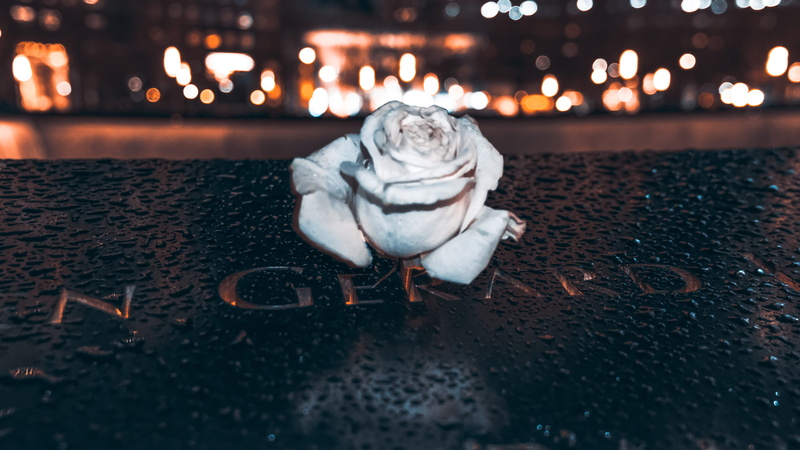 headstone, new york city, september 11, nature, nyc, no people, city, city night, christmas lights, representation, bokeh, focus on foreground, art and craft