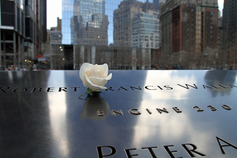 focus on foreground, city, Memorial, communication, close-up, no people, york, plant, reflection, 5K, remembrance, Manhattan, outdoors, western script
