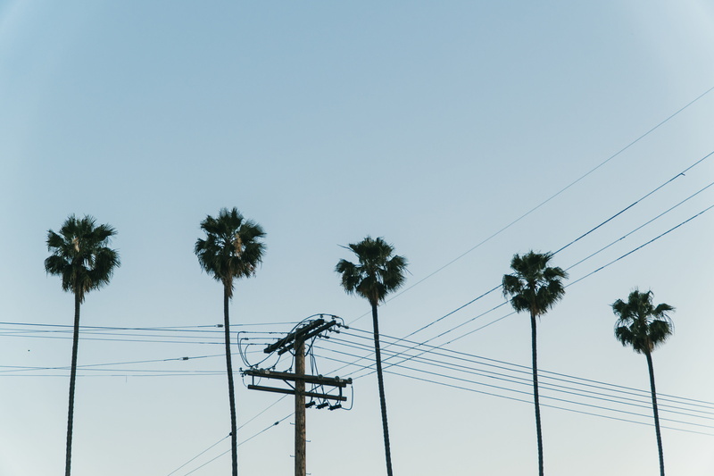 low angle view, road, tropical climate, palm trees, power line, la, boulevard, 5K, electricity pylon, shapes, power supply, califorina, los angeles, sunset
