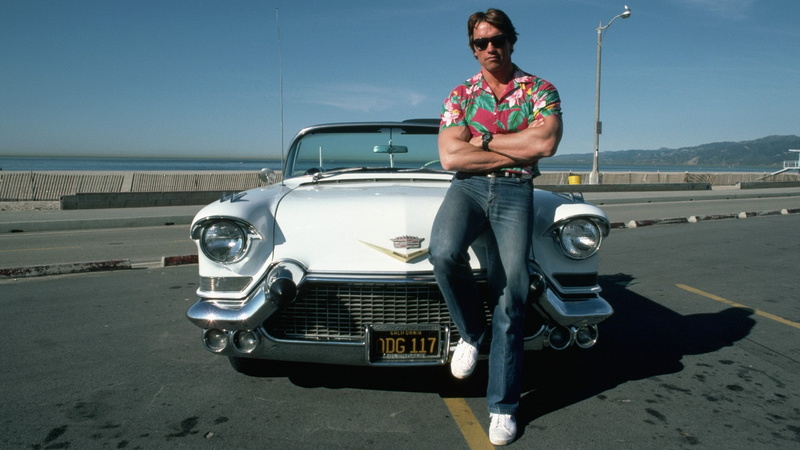 races, schwarzenegger, hollywood, automobil, art, arnold, Terminator, race, speed, cars, hd, 1080P, people, car, usa, california, actors