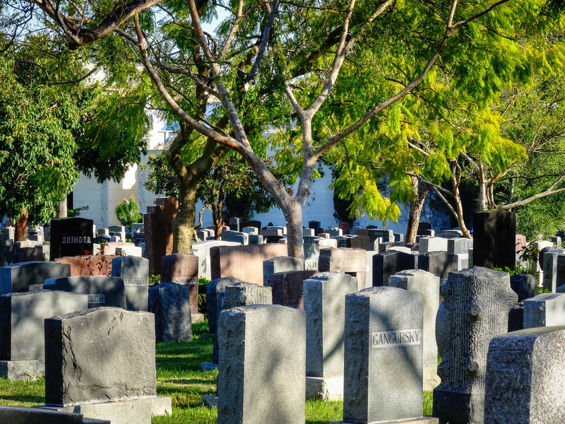 usa, tombstone, day, emotion, grave, 5K, sunlight, atmospheric, los angeles, jewish cemetery, sadness, architecture, america, hollywood, no people, plant