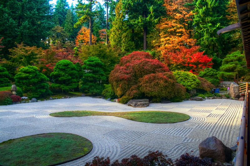 USA, Portland, lawn, track, Arlington Heights, autumn, 2K, trees, Oregon, the bushes, Park