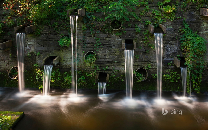 green, water, wall, 1080P, plants, waterfall, Bing