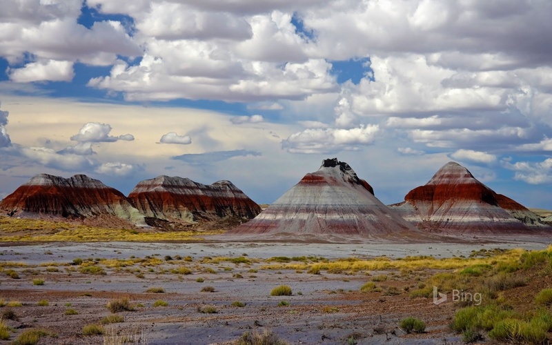 mountain, tranquility, nature, bing, d, physical geography, tranquil scene, sky, arizona, beauty in nature, forest, rock, petrified, environment, national