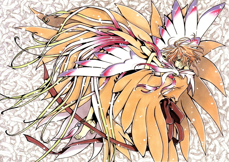 1080P, Tsubasa: Reservoir Chronicle, Anime