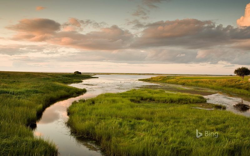 water, bing, grass, sunset, field, plant, brunswick, canada, new, 1080P, beach, tranquil scene, sky, scenics - nature, sea, horizon over water, outdoors