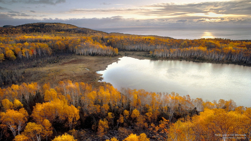 raven, Fall, lake, minnesota, 2K