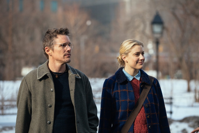 Greta Gerwig, Movie, Maggies Plan, 1080P, Ethan Hawke