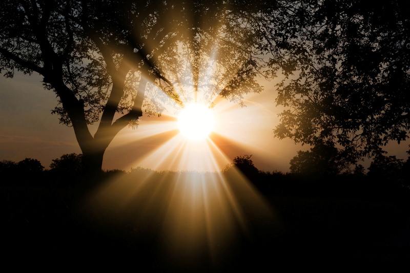 idyllic, scenics - nature, sky, mood, backlighting, beauty in nature, brightly lit, sunset, back lit, texture, lights, 5K, tranquility, landscape, color