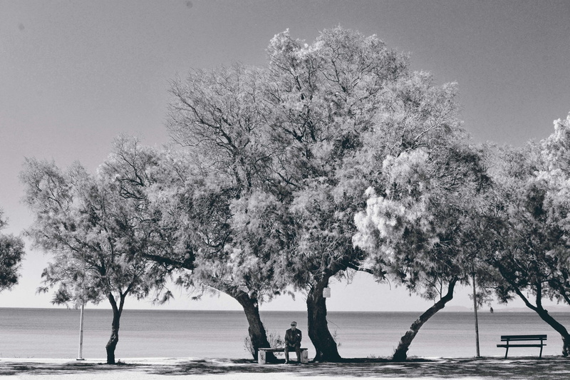 peace, leisure activity, landscape, adult, day, men, portrait, aegean, growth, women, coast, old man on the bench, greece, scene, tree, black and white lasndscape