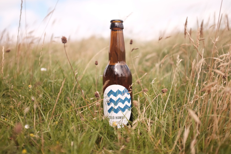 field, klitmöller, transparent, green, grass, bottle, klitmøller, container, no people, green color, small, hipster, outdoors, craft beer, growth, day