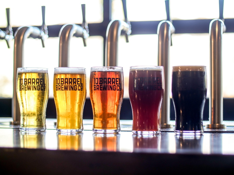 food and drink, close-up, in a row, five, glass - material, whisky, freshness, drinking glass, lager, brand, brewery, beverages, clear, 4K, beer, indoors